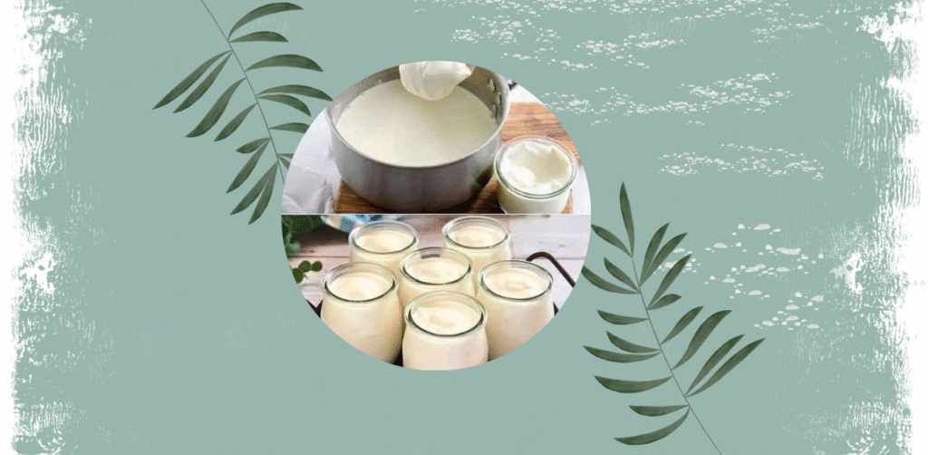 Greek yogurt Recipe