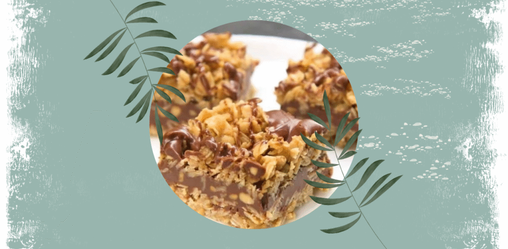 Chocolate Oatmeal Bars Recipe