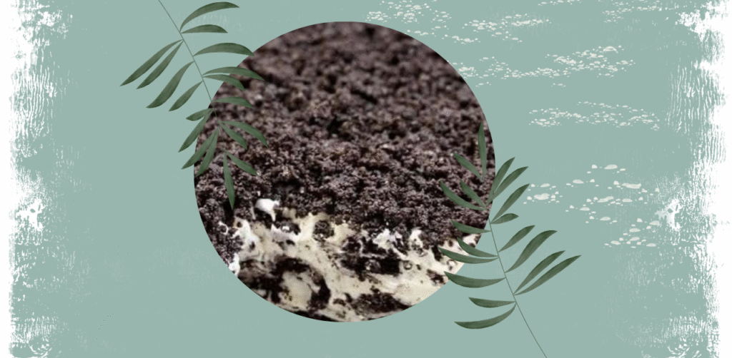 Easy Frozen Oreo Dessert Recipe