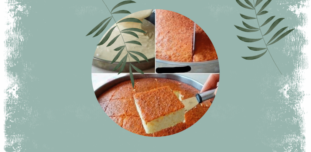 Milk Cake Recipe