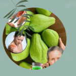 Chayote & Lemon Vitality Elixir