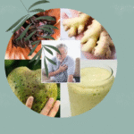 Vital Glow Elixir – A Nourishing Wellness Drink